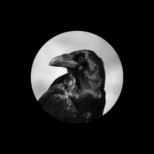 小日本做爱视频免费
